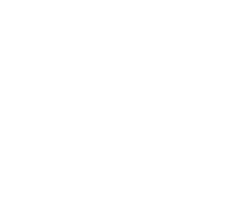 Center for Ideas and Society