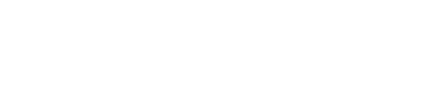 The University of Chicago